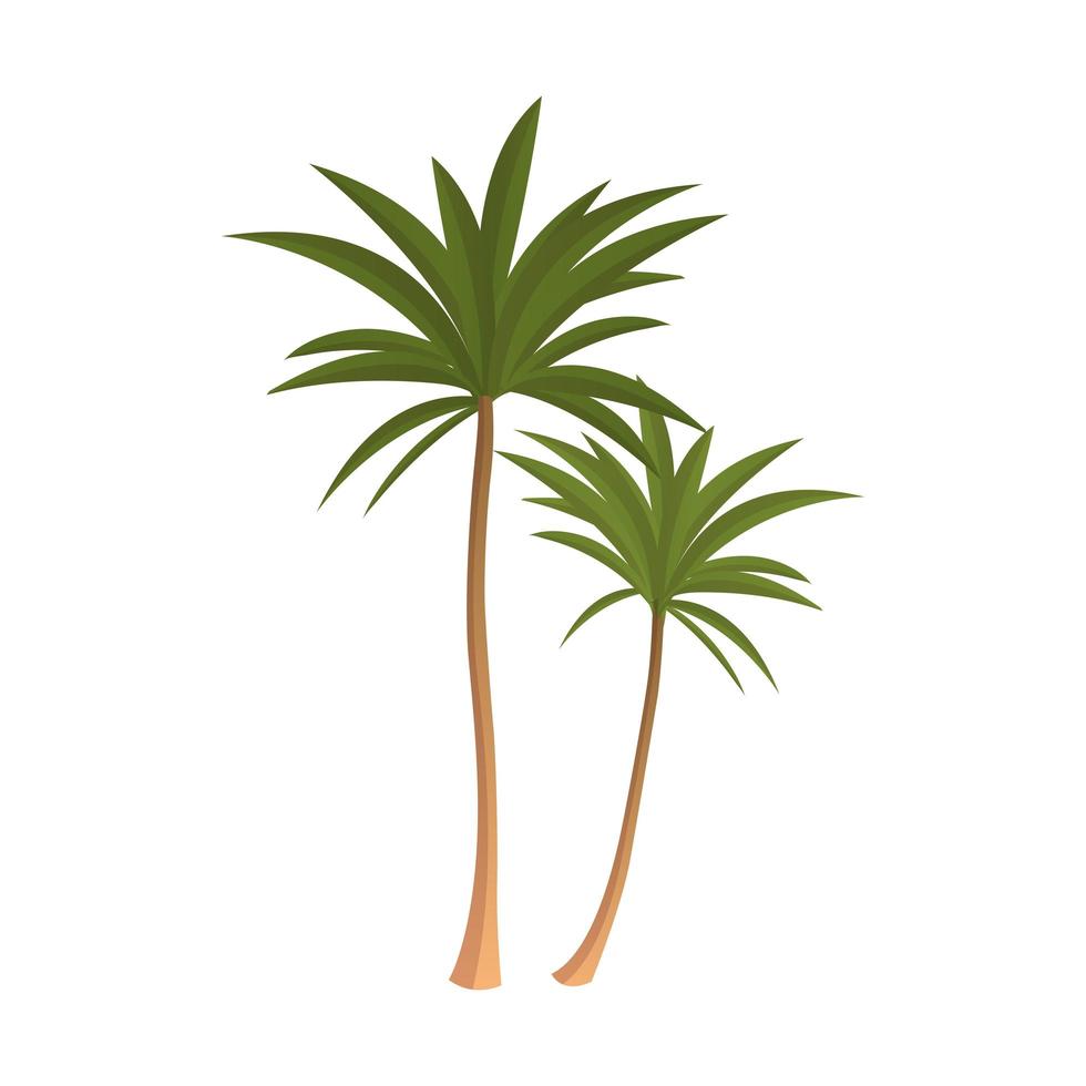 Realistic tall green palm trees isolated on white background - Vector