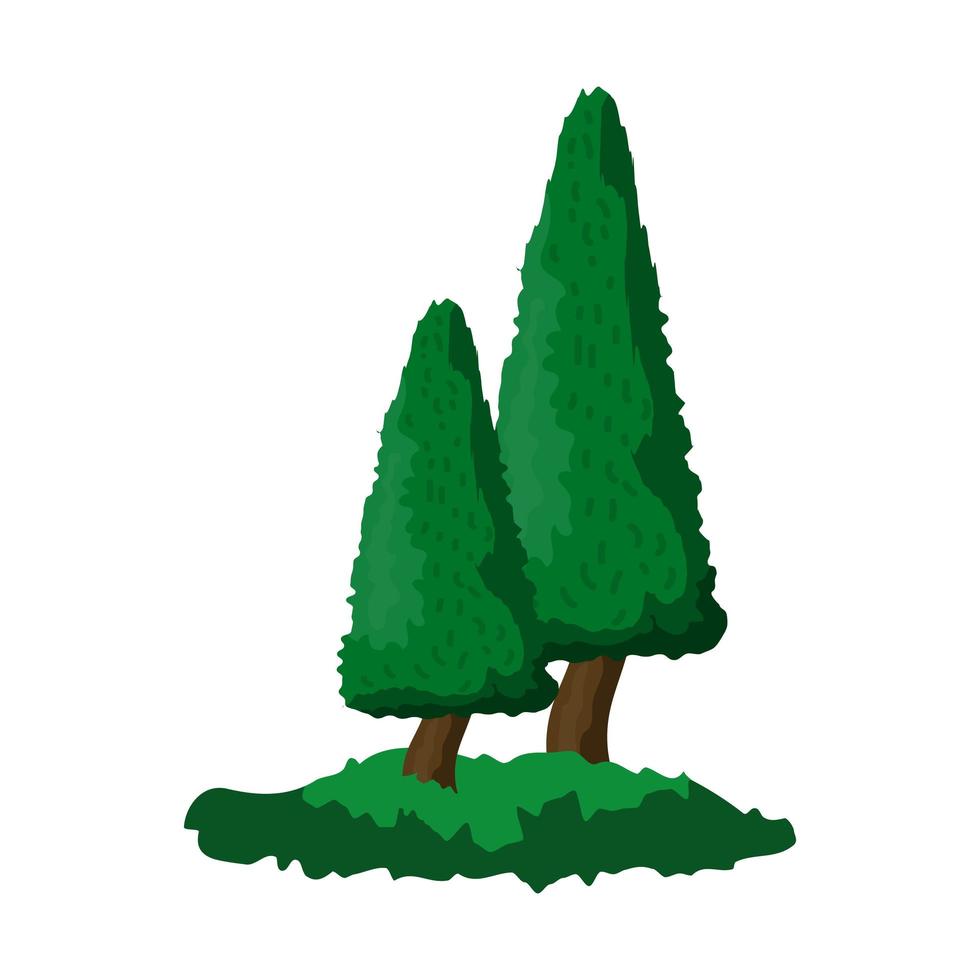 Realistic dense green fir trees on white background - Vector