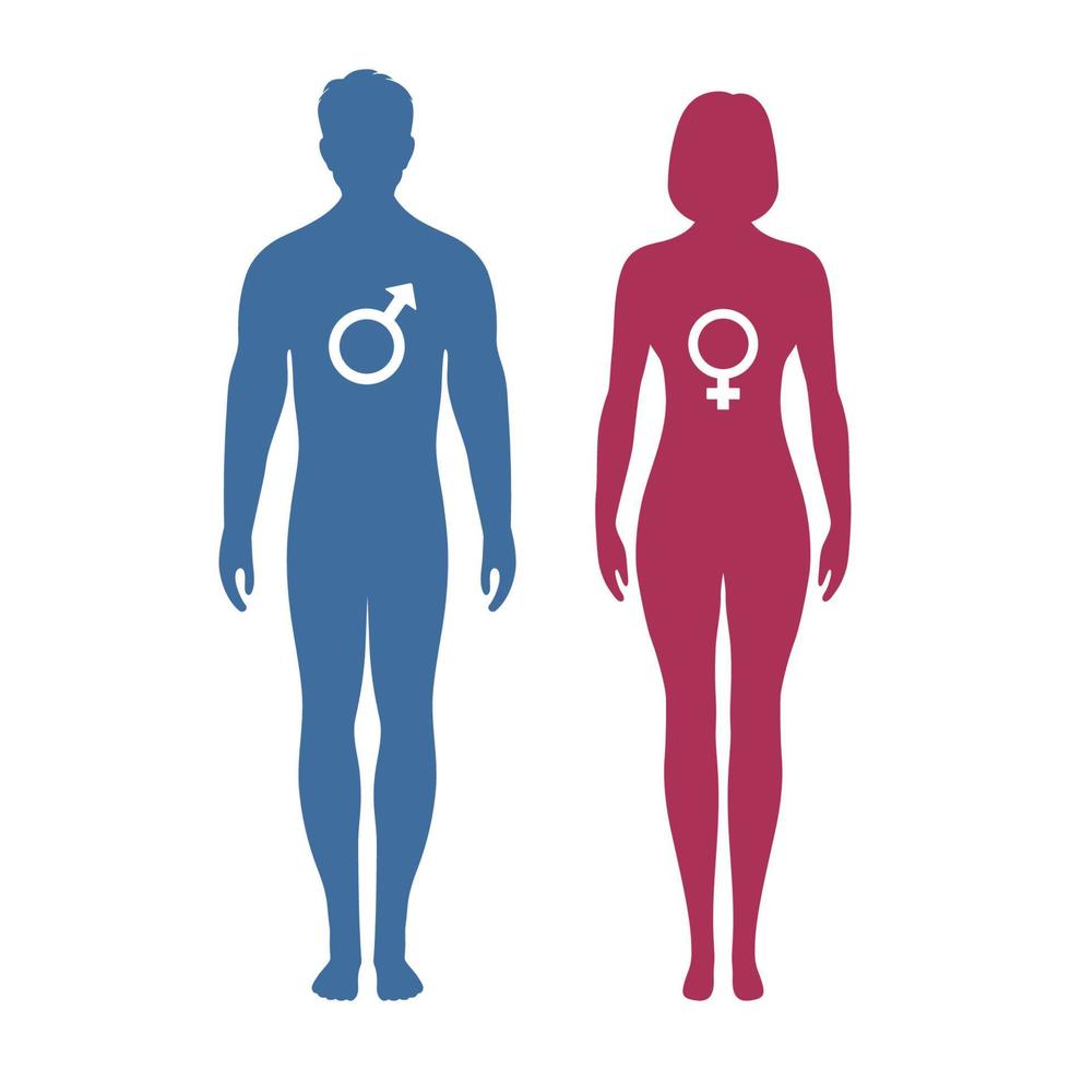 Silhouette of man and woman with gender sign vector