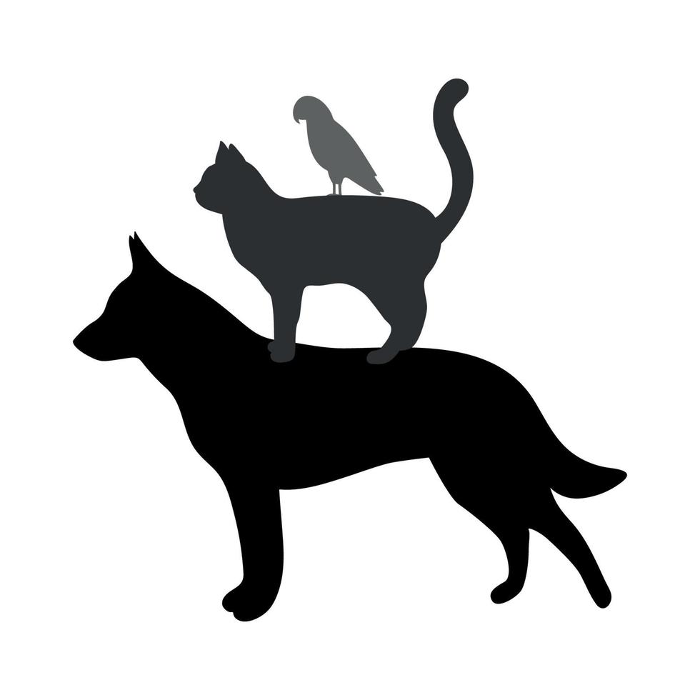 Silhouettes of dog, cat and parrot on a white background. vector