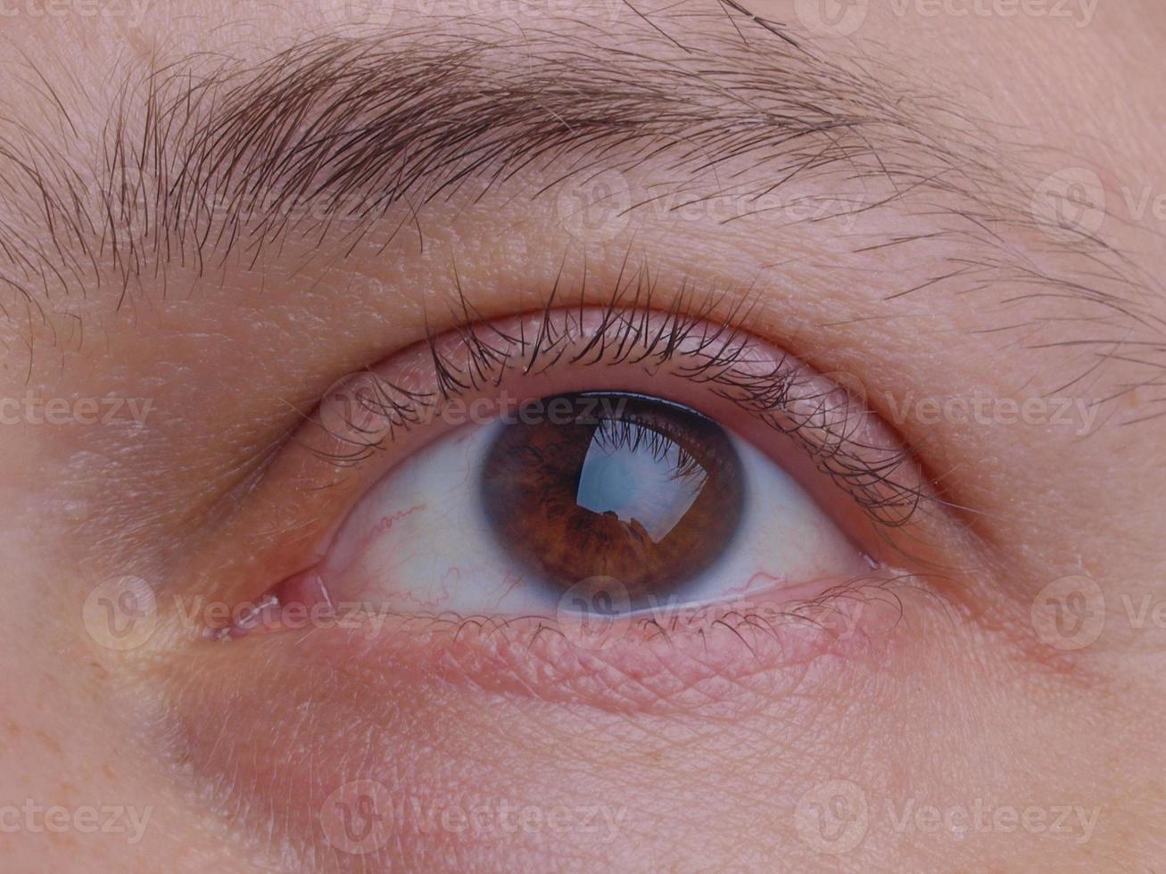 Eye pupil and eyelid photo