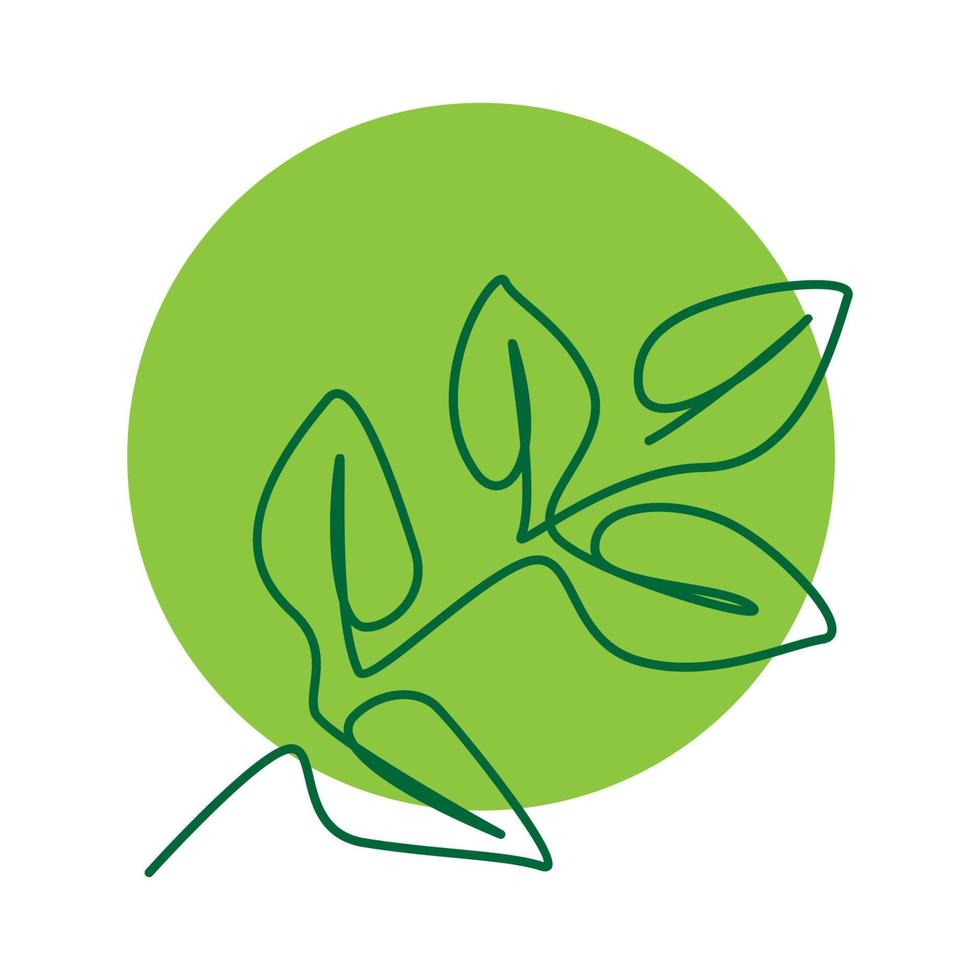 estética hoja planta con círculo verde diseño de logotipo vector icono símbolo ilustración gráfica