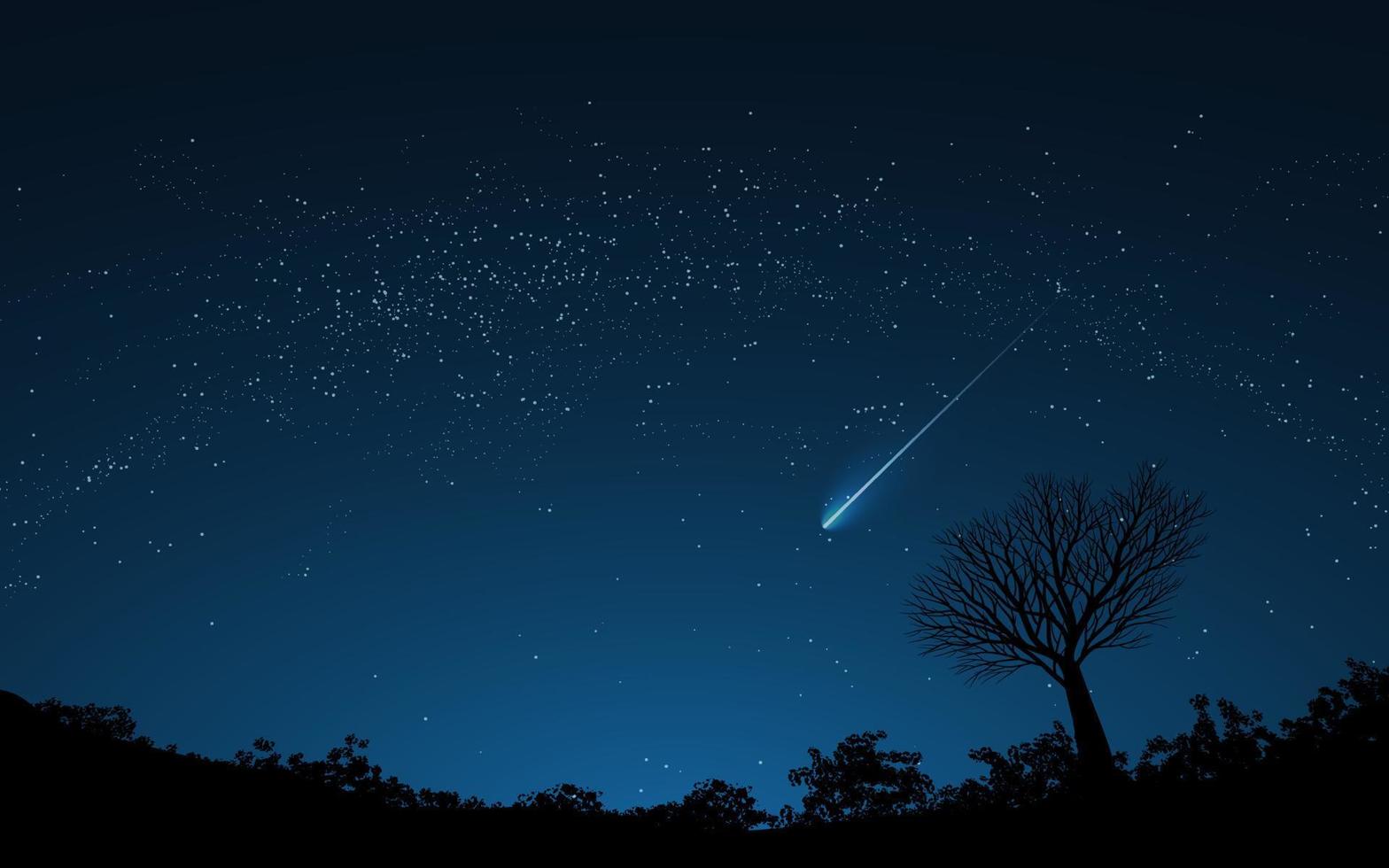 Night sky background with stars, shooting star, and tree silhouette vector
