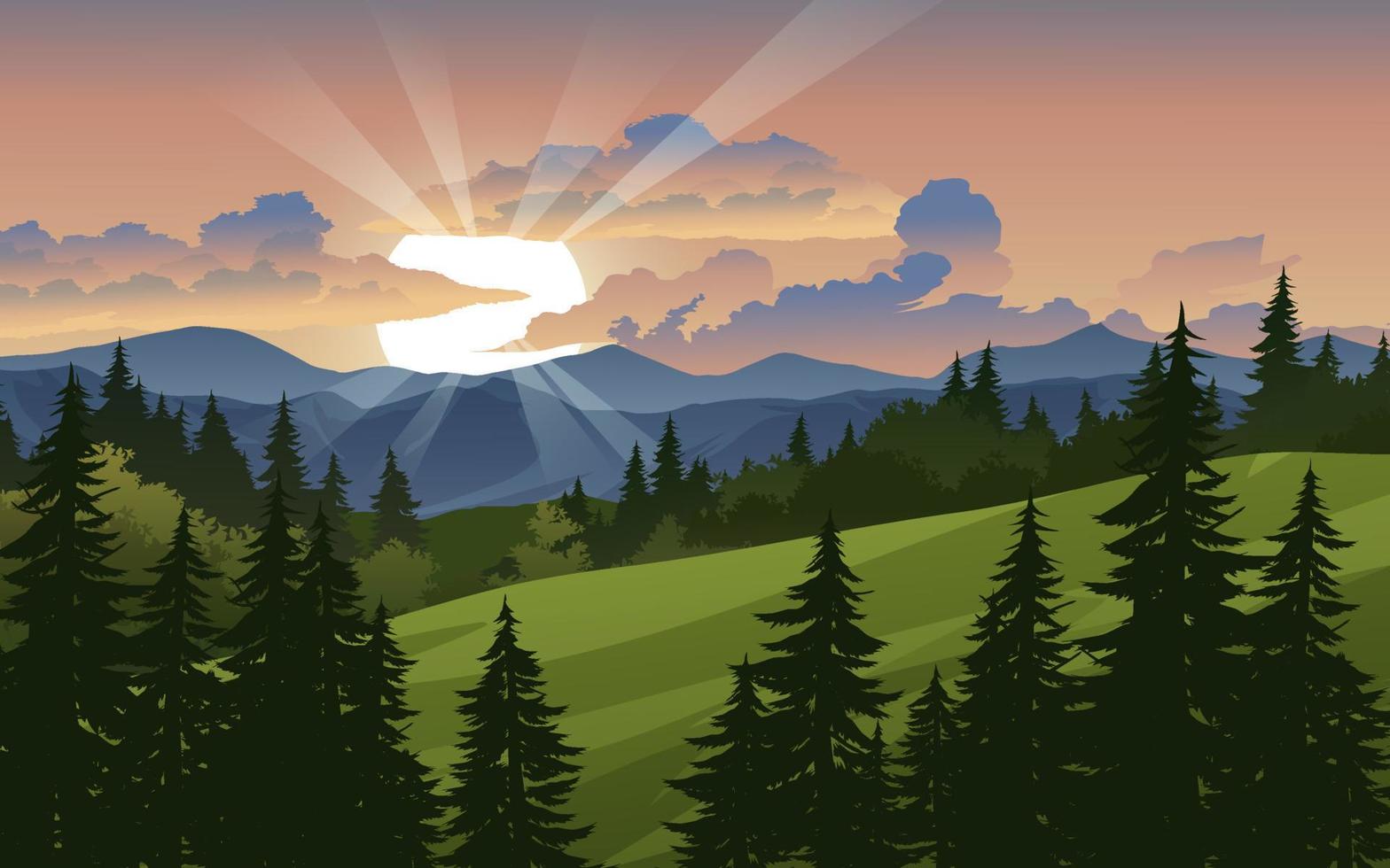 Sunset in forest with pine trees, mountain and valley vector