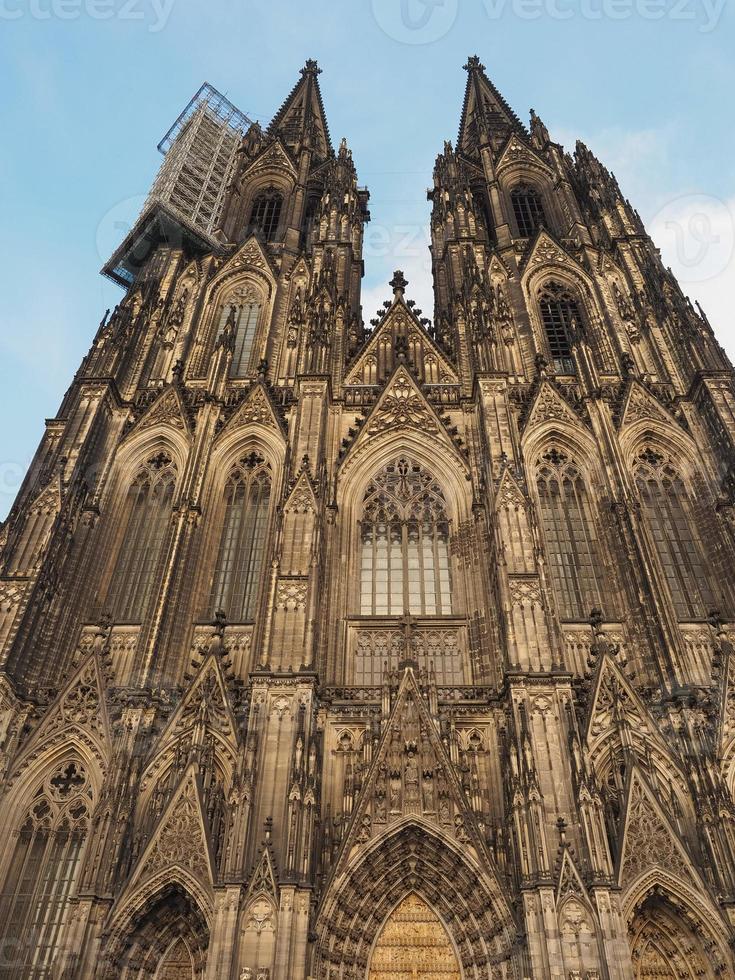 St Peter Cathedral in Koeln photo