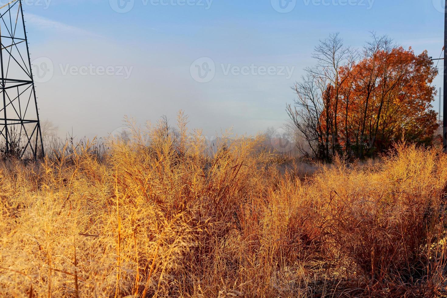 Colorful autumn morning in the Carpathian Ukraine, Europe. photo