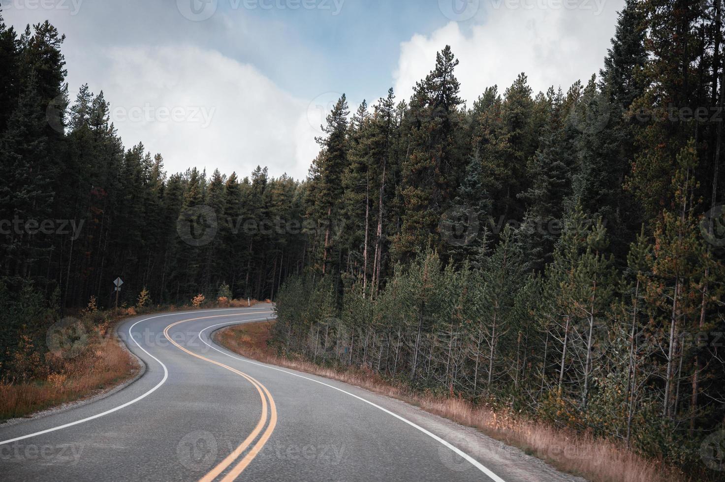 Winding asphalt road through pine forest in autumn at national park photo