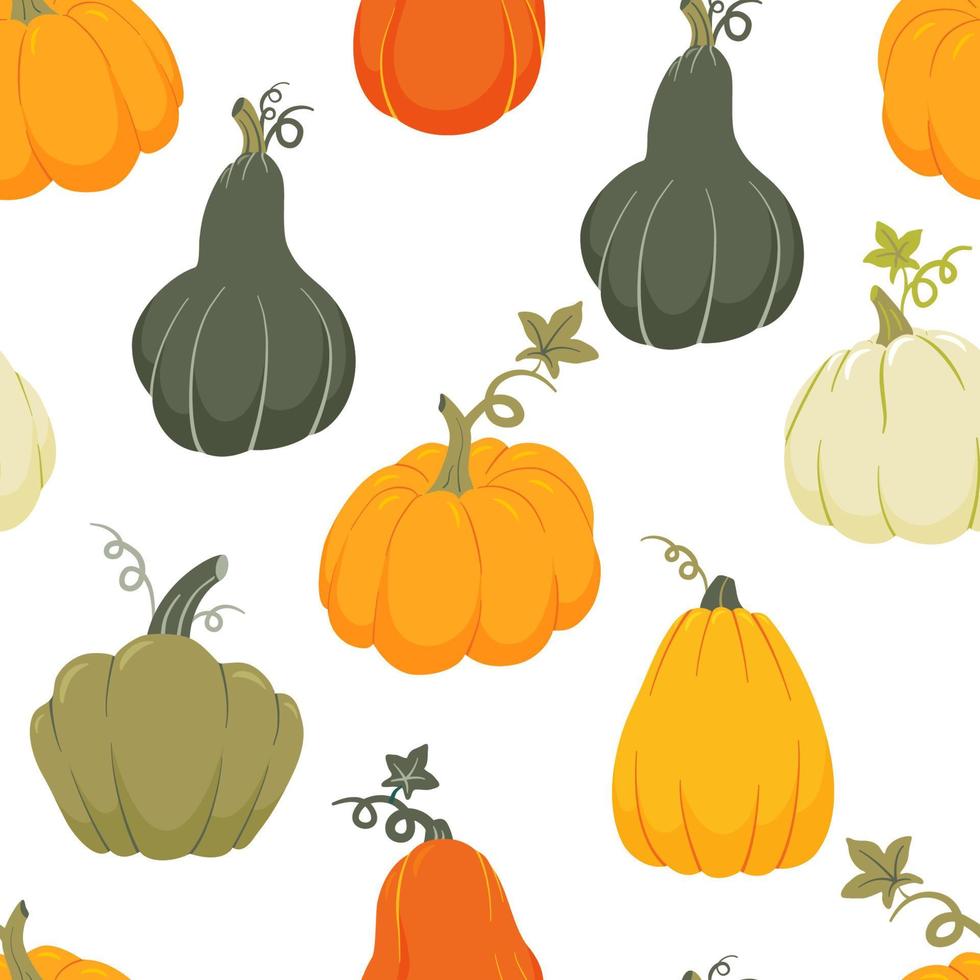 Colorful pumpkins of various shapes seamless pattern. Thanksgiving and ...