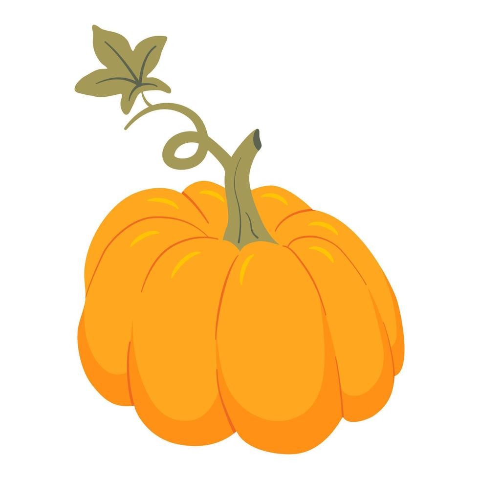 ilustración vectorial de dibujos animados de calabaza. elemento de acción de gracias, cosecha y halloween aislado sobre fondo blanco. vector