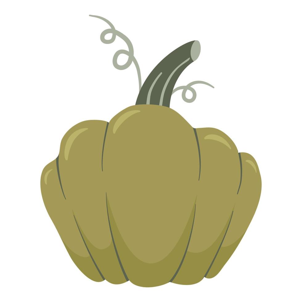 ilustración vectorial de dibujos animados de calabaza. elemento de acción de gracias, cosecha y halloween aislado sobre fondo blanco. vector