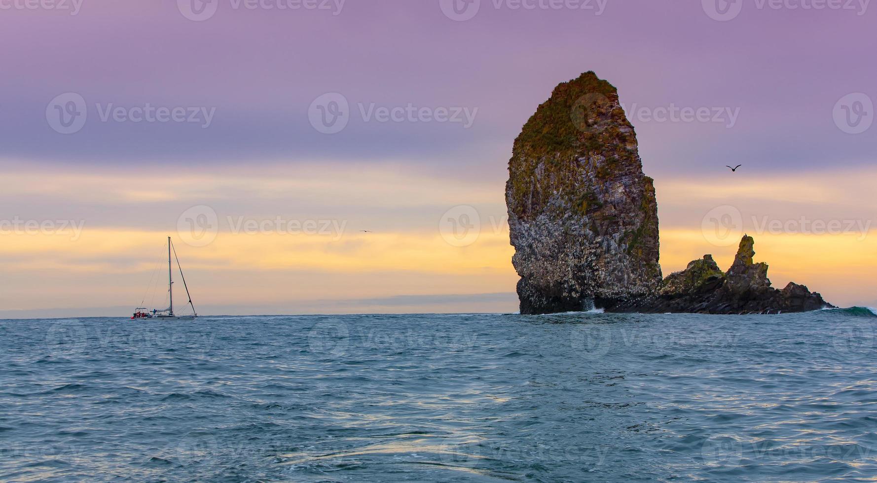 The yacht near the cliffs with nests of sea gulls in the Pacific ocean photo