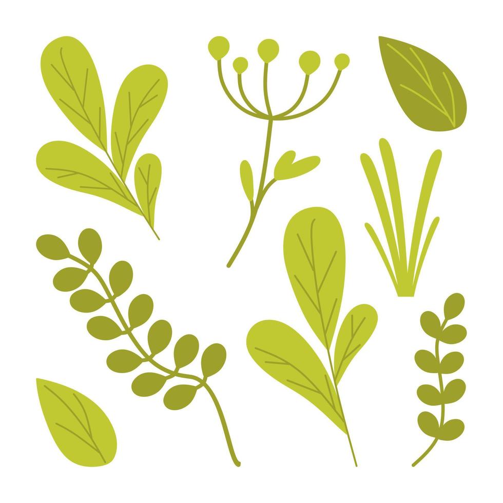 A set of green leaves, branches, and blades of grass.  Vector illustration in a flat style isolated on a white background