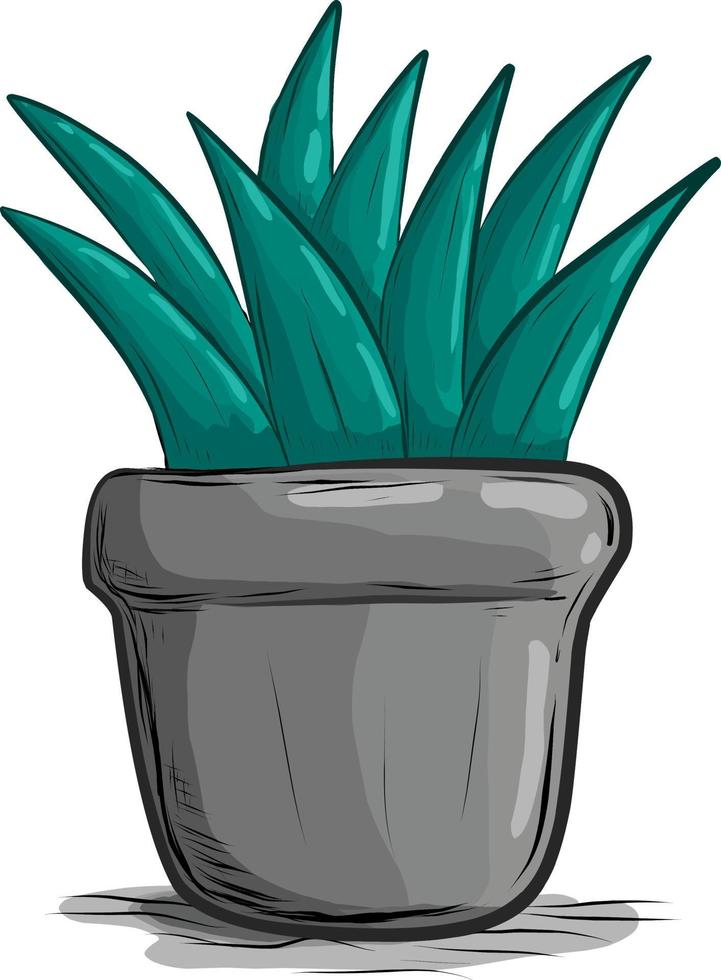 Plant in pot vector