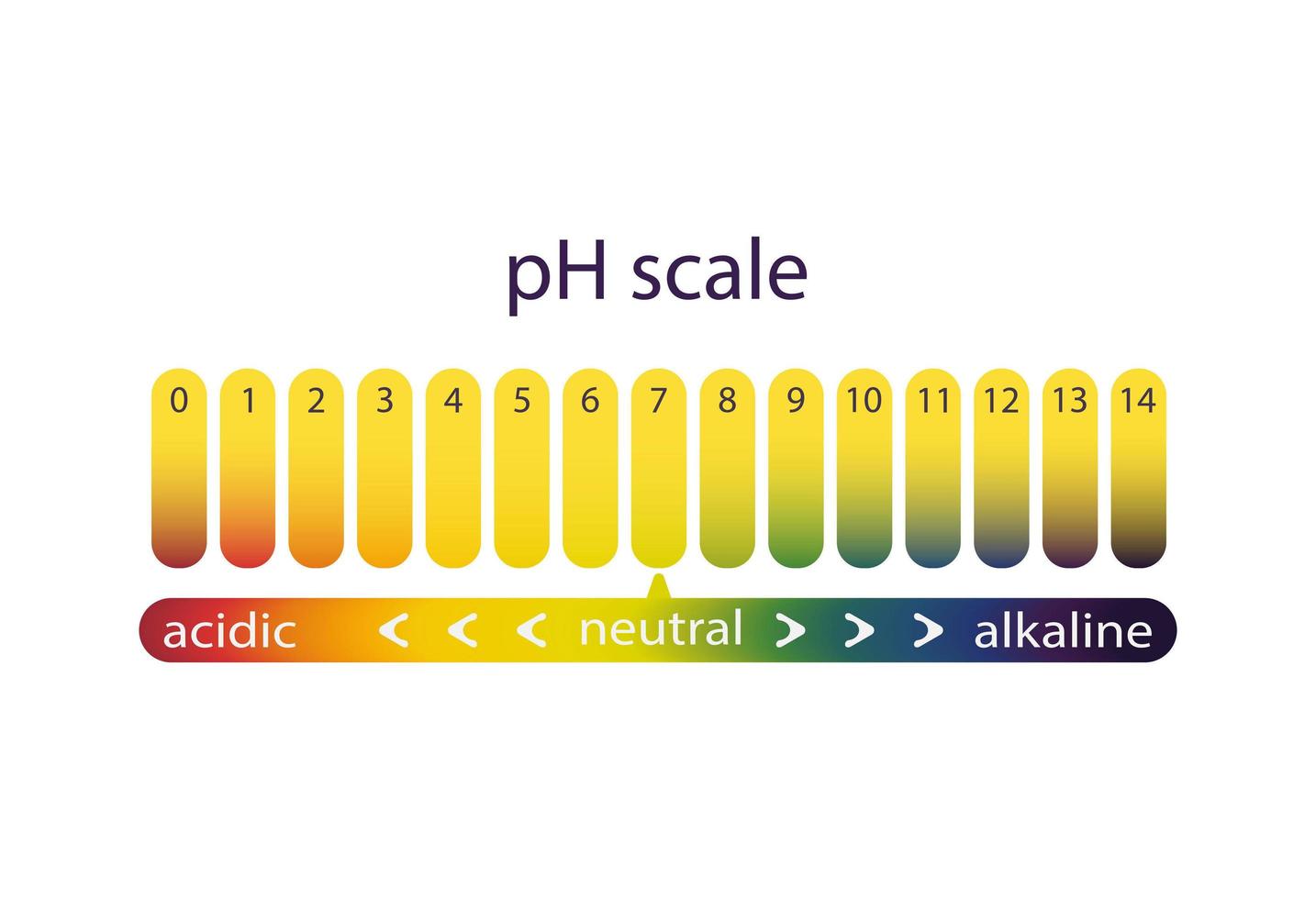 escala de acidez del papel indicador de tornasol, gradiente de color vector