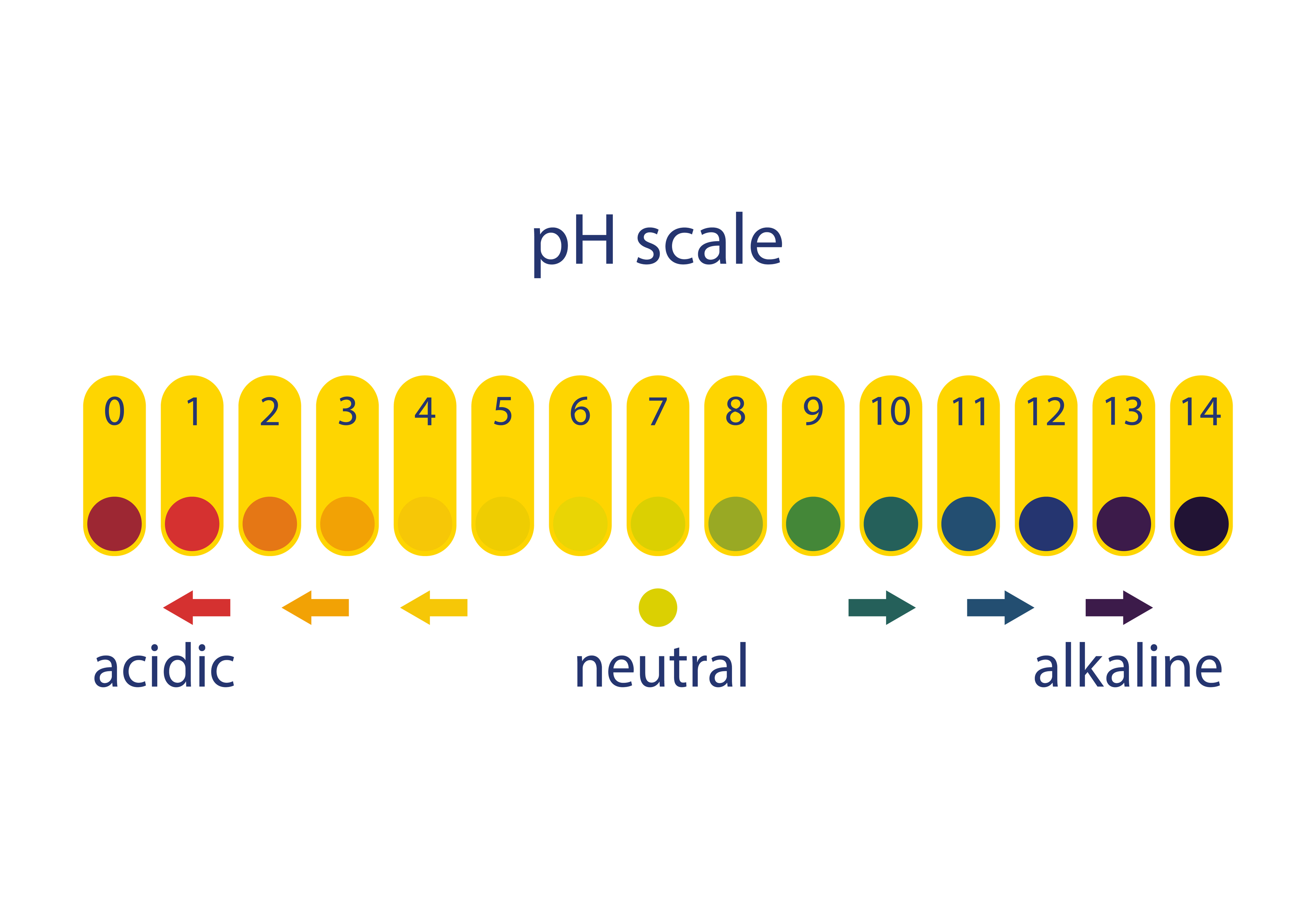 Acidity scale of litmus indicator paper, on a white background. 5737534