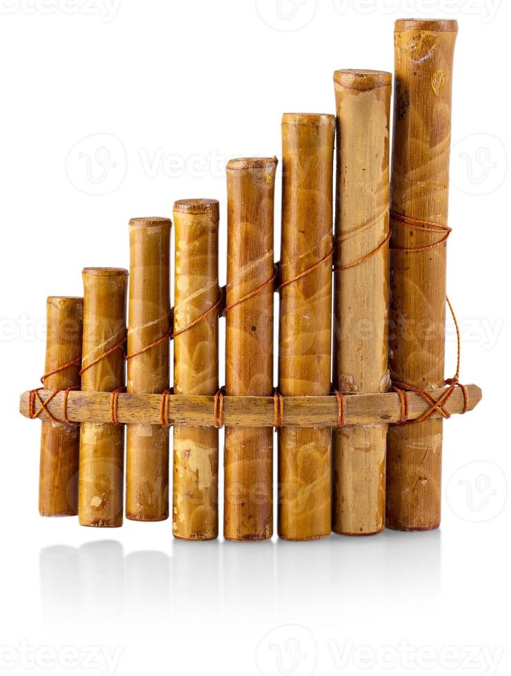 Flute - folk instrument from Peru and Bolivia. photo