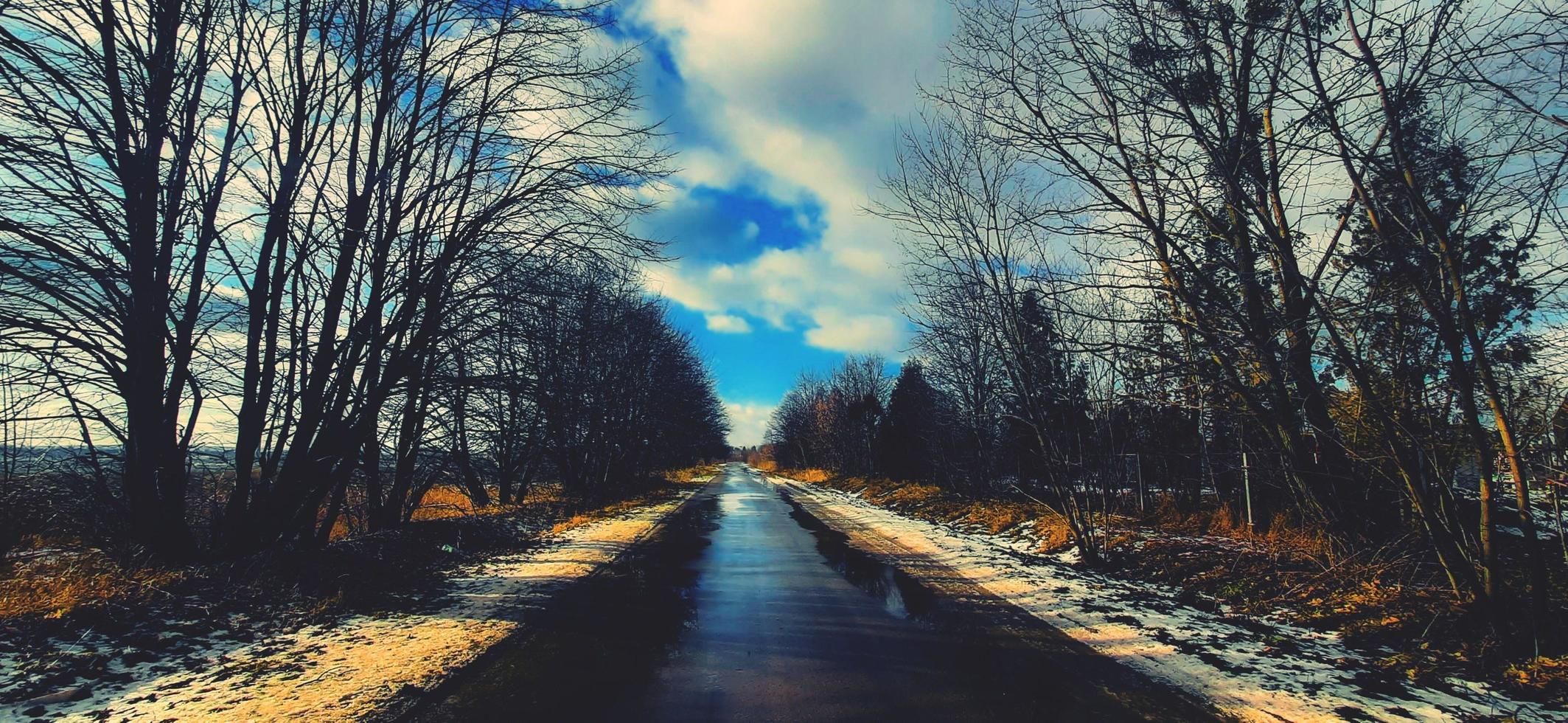 Background winter nature snow day photo
