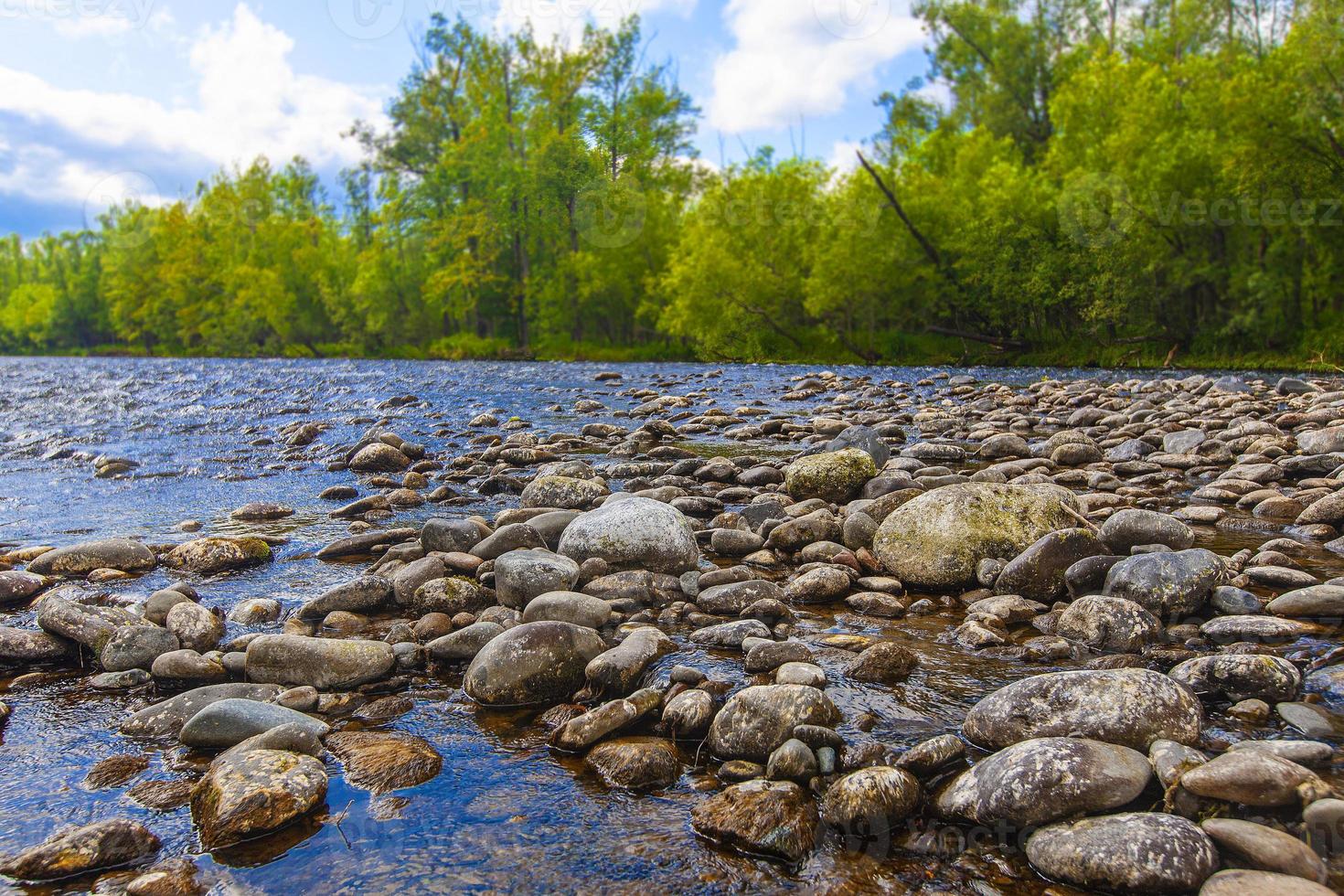 las piedras en un río de montaña. foto