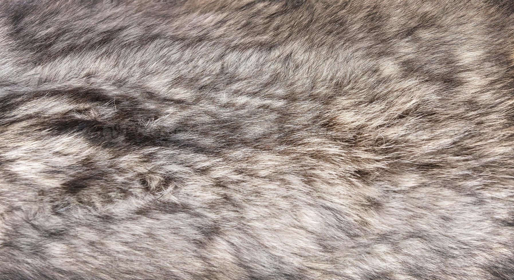 piel de lobo hecha a mano como fondo y textura foto