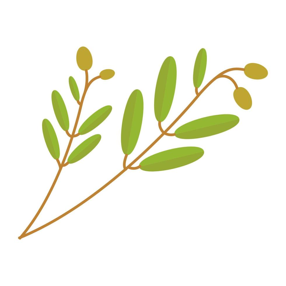 colorful leaf olive oil logo design vector icon symbol illustration