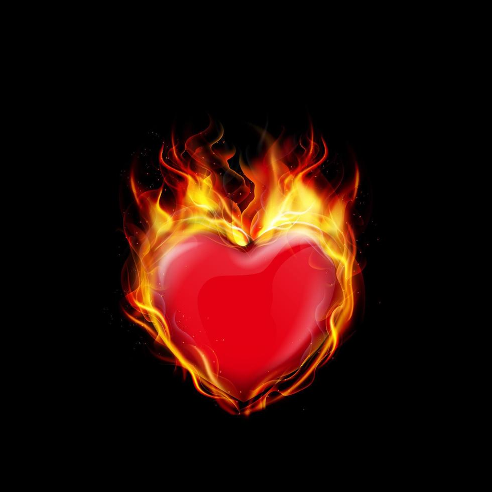 Fire burning a heart on black background vector