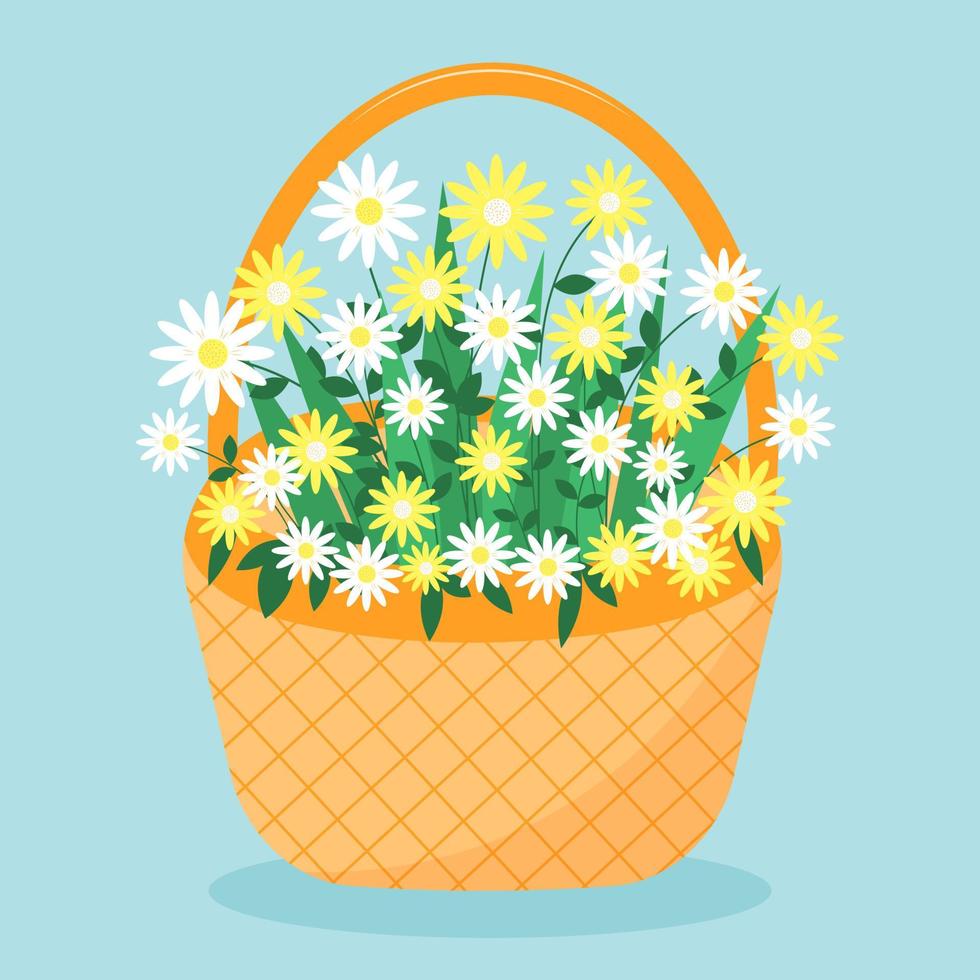 Flowers in the basket. Chamomiles in a wicker basket. vector