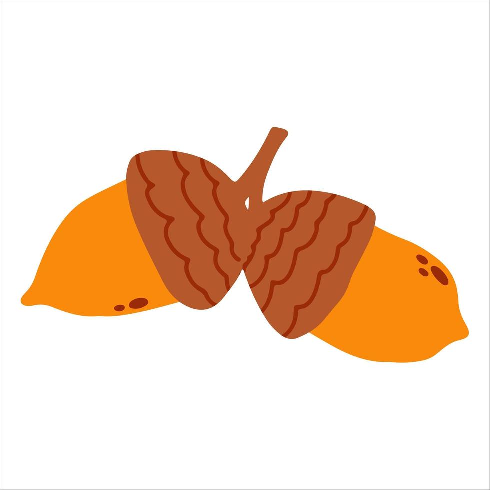 Vector acorn nut in hand drawn cartoon childish style. Fall illustration for baby apparel, textile and product design, wallpaper, wrapping paper, card, scrapbooking