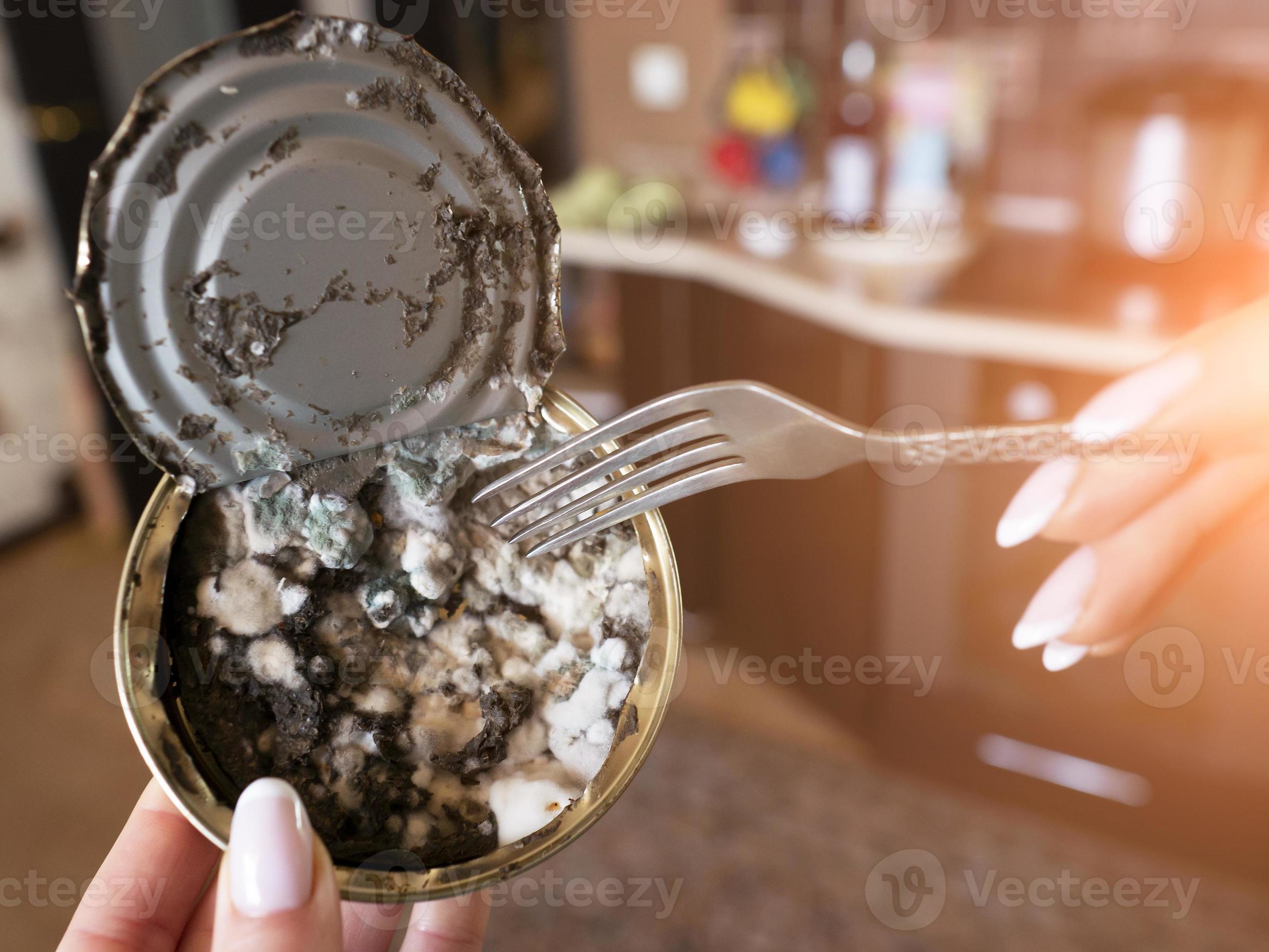 Expired Canned Fish In A Woman s Hand Close up 5741008 Stock Photo At expired-canned-fish-in-a-woman-s-hand-close-up-5741008-stock-photo-at