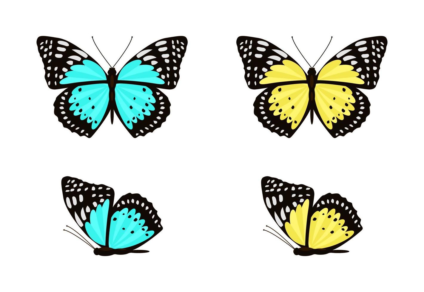 conjunto de mariposas azules y amarillas con alas extendidas y plegadas vector