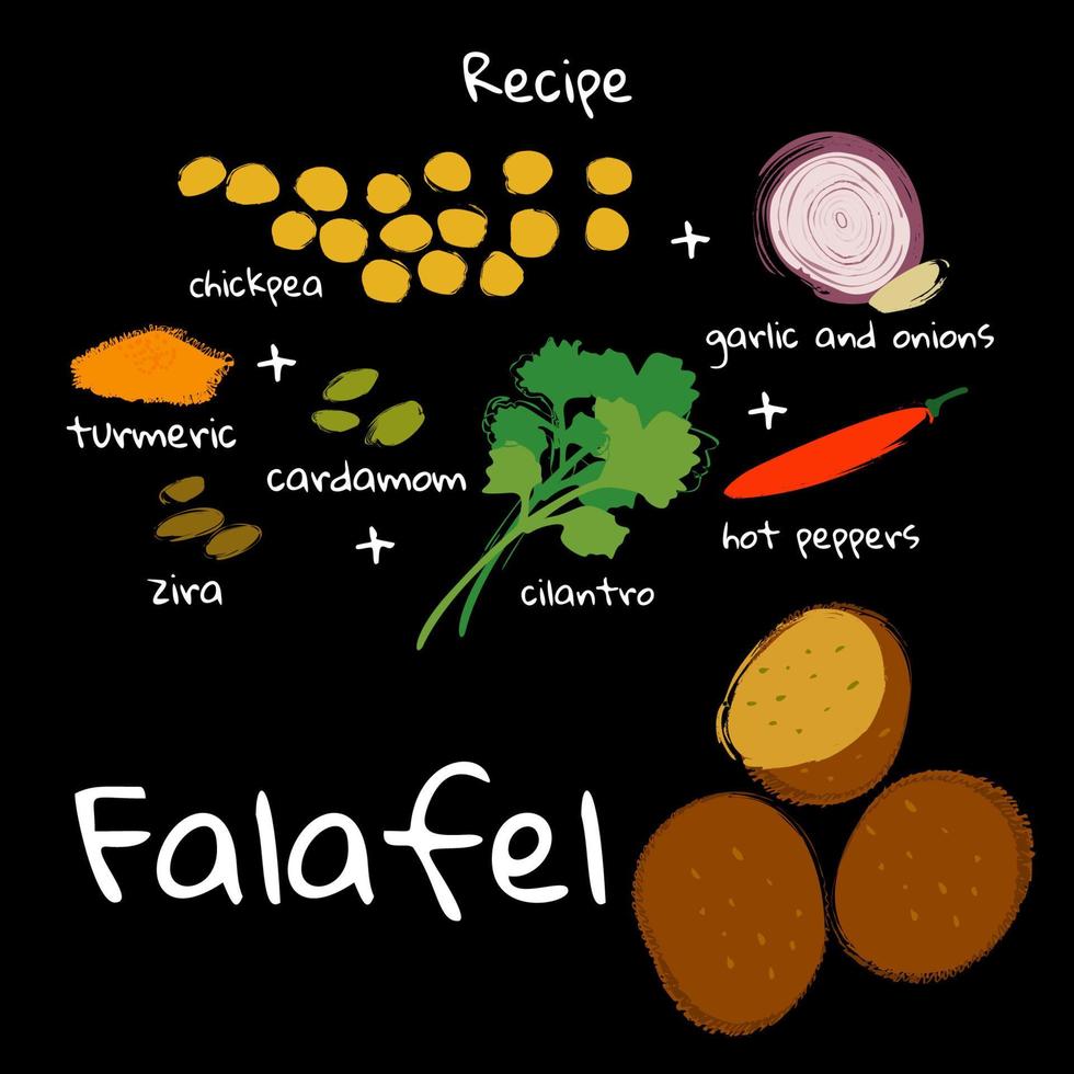 ilustración vectorial comida tradicional árabe y judía falafel e ingredientes sobre fondo negro. vector