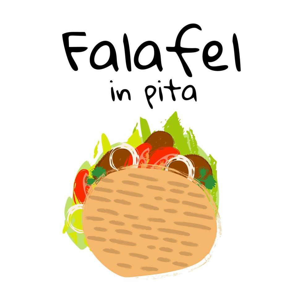 Vector illustration traditional Arabic and Jewish food Falafel in pita on white background