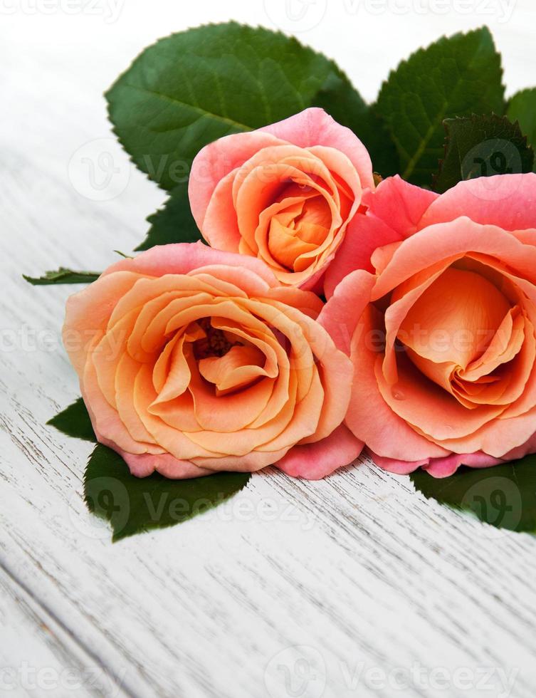 Pink roses on a wooden background photo