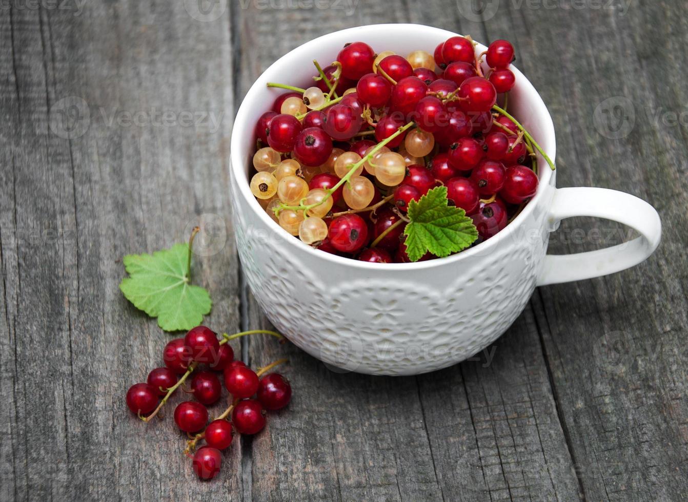 Cup with red currant photo