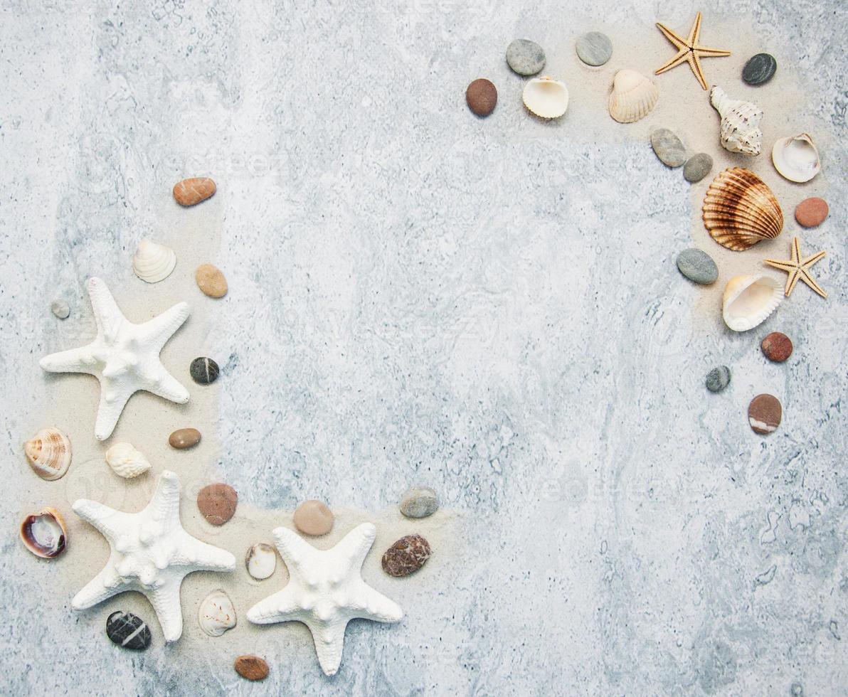 Seashells and starfish border photo