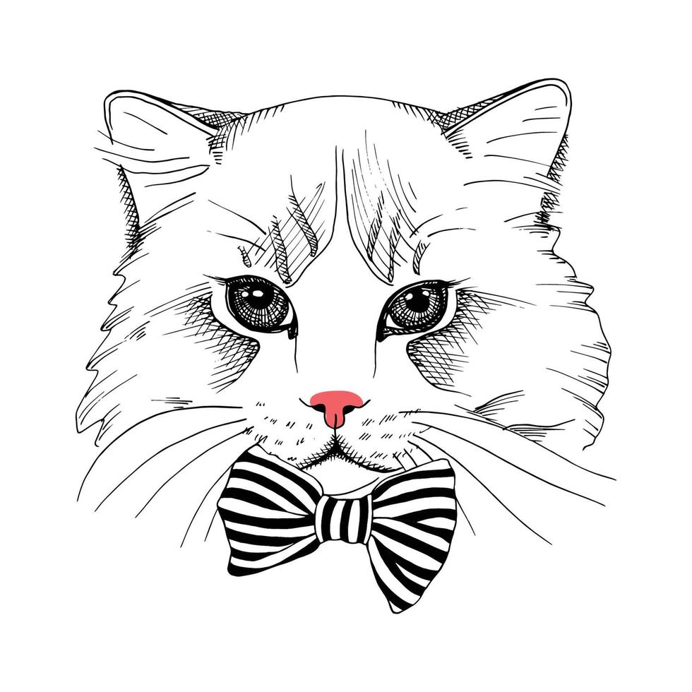 cute cat vector