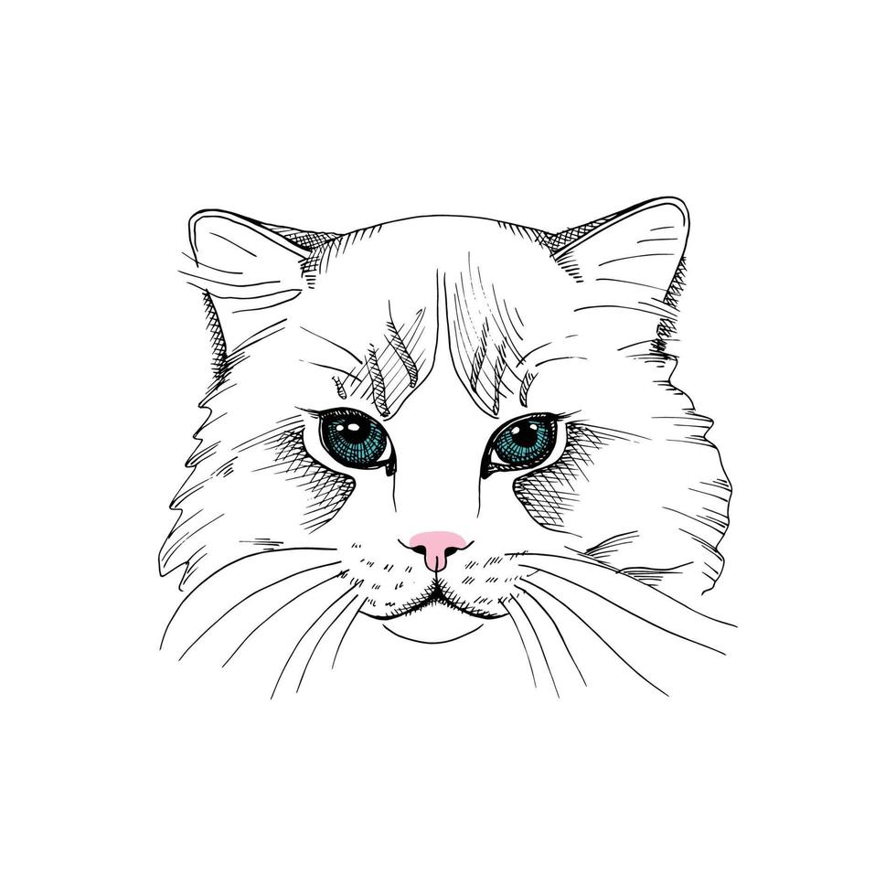 cute cat vector
