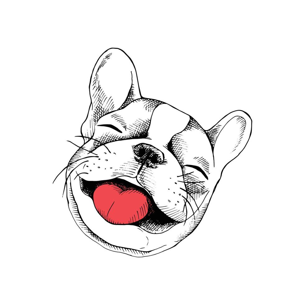 cara de perro de dibujos animados vector