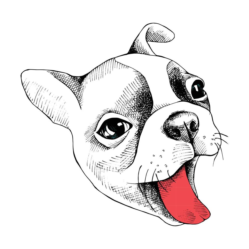 cara de perro de dibujos animados vector