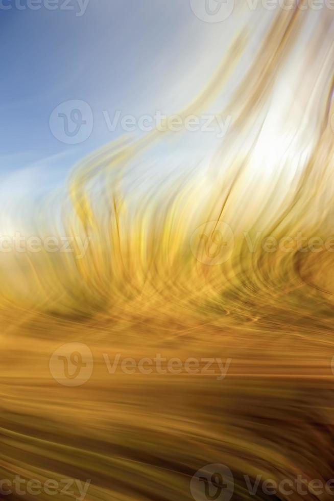 Colorful, unique and original abstract backgrounds created from photographs of natural things and places. photo