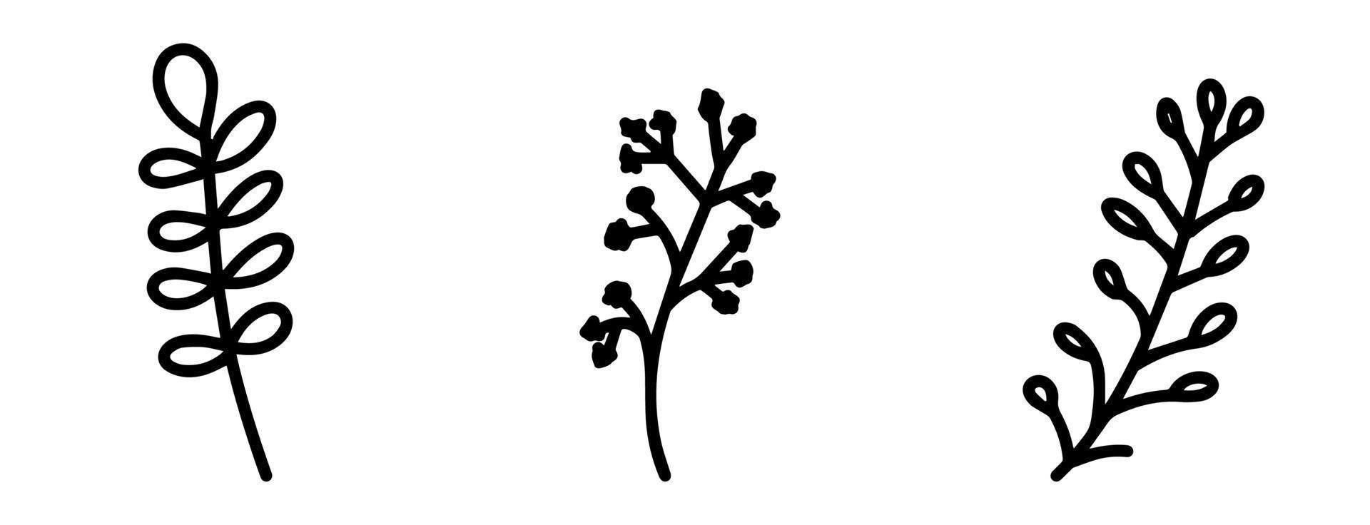 colección de elementos botánicos para el diseño de postales, invitaciones, creación de logos o pancartas. flores vectoriales en blanco y negro, bayas, ramitas y hojas para el diseño. estilo de garabato simple y plano. vector