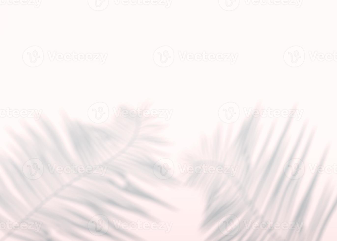 Abstract background of shadows palm leaves on a wall. 3d rendering. photo