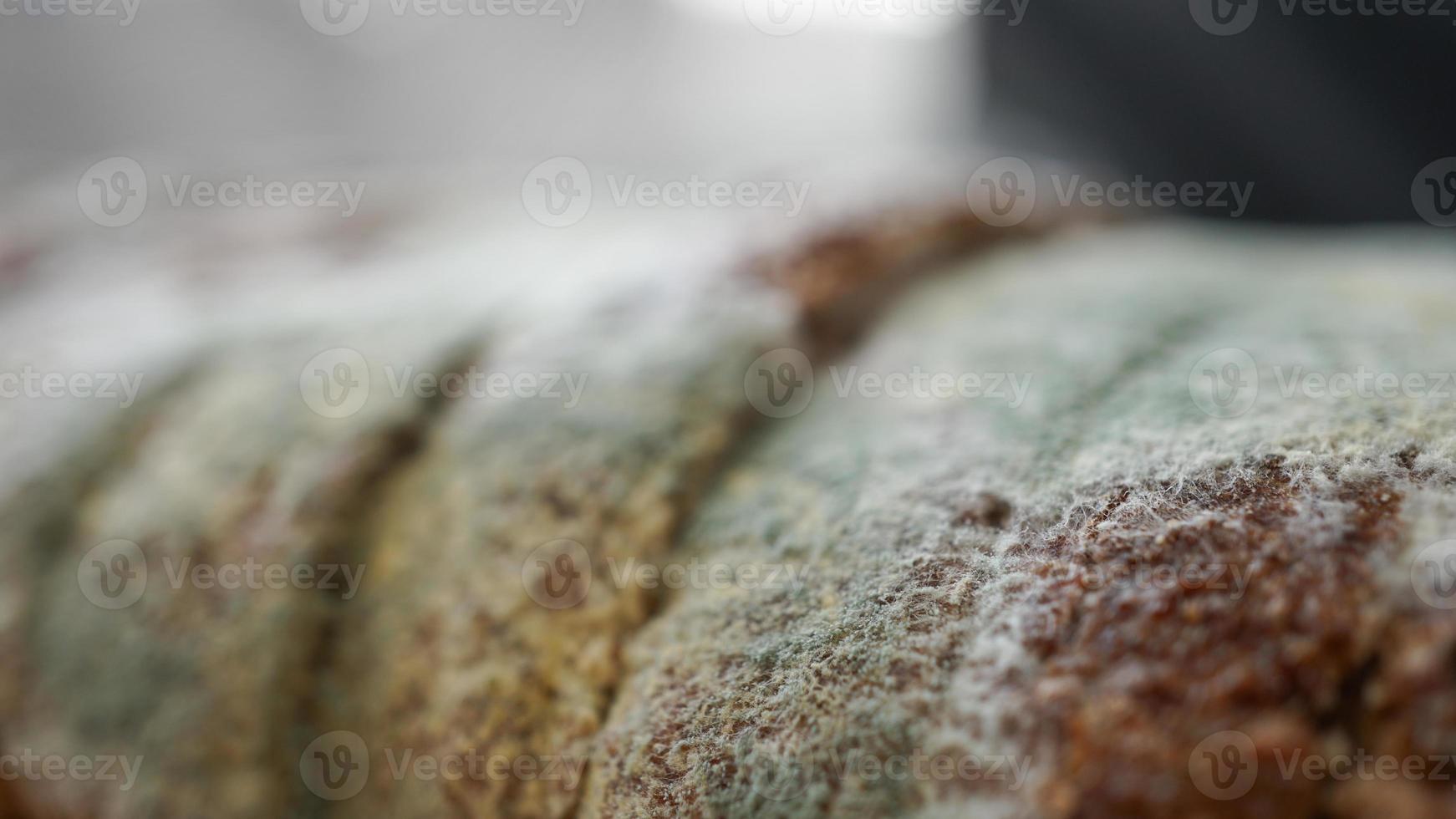 Macro shot of an old bread with mold in gree and white colors photo