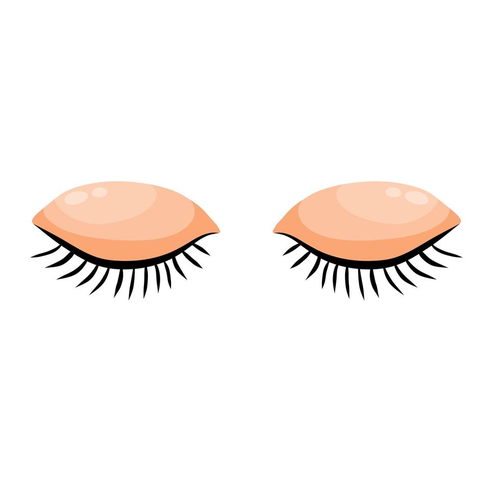 Two Closed eye. Detail of face. Eyelid with eyelashes. vector