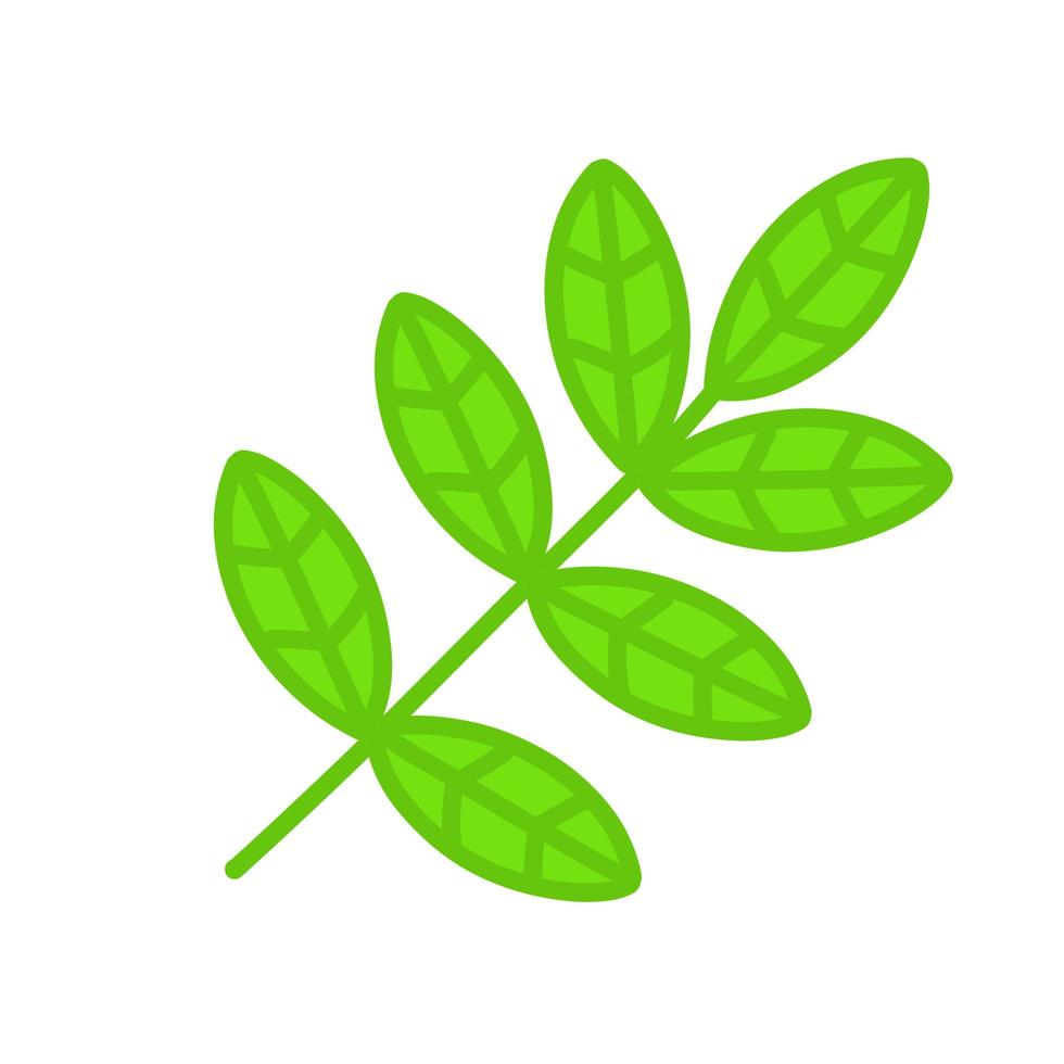Branch with green leaves. vector