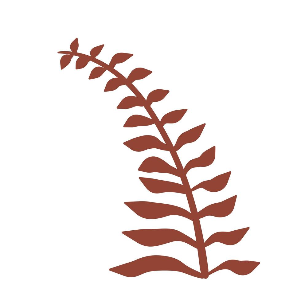 Fern leaf. Element of nature and the forest. Red bracken plant vector