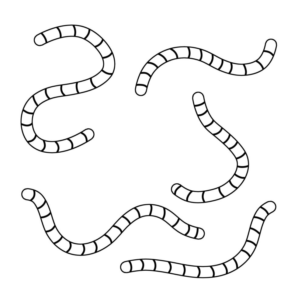Earthworm. Insect worm set. vector