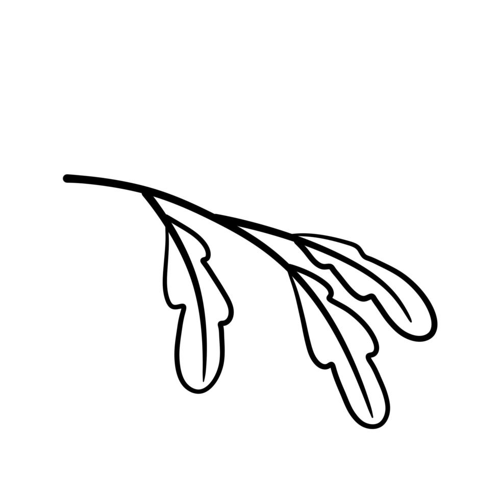 Branch of plant. Leaves in line style. Black and white natural illustration. Minimalism and simple flora. vector
