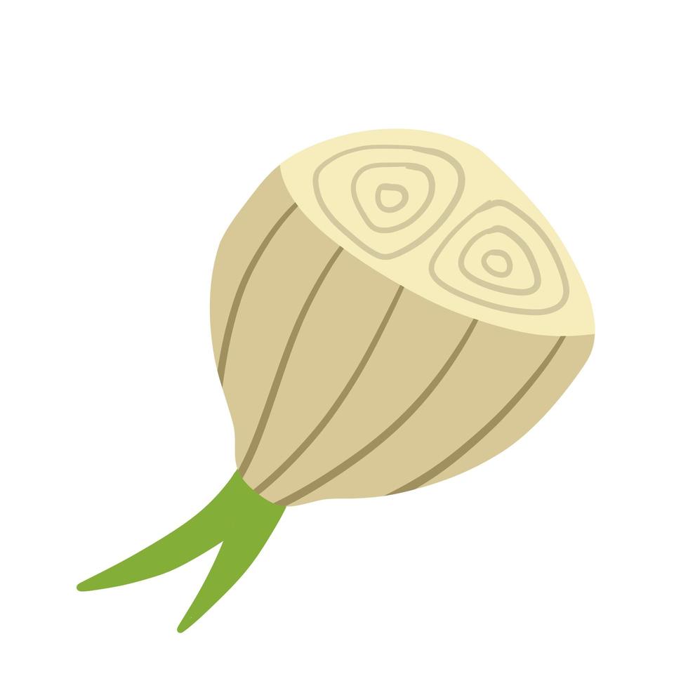 Onion in doodle style. Vegetable food vector