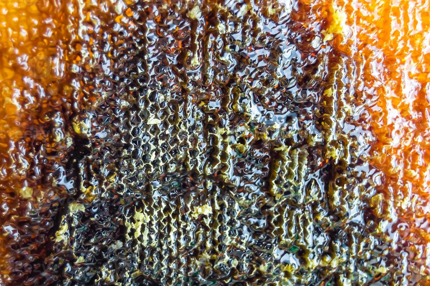 Honeycomb from bee hive filled with golden honey photo