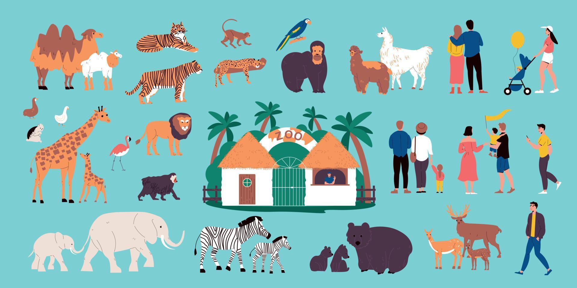 Zoo Color Set vector